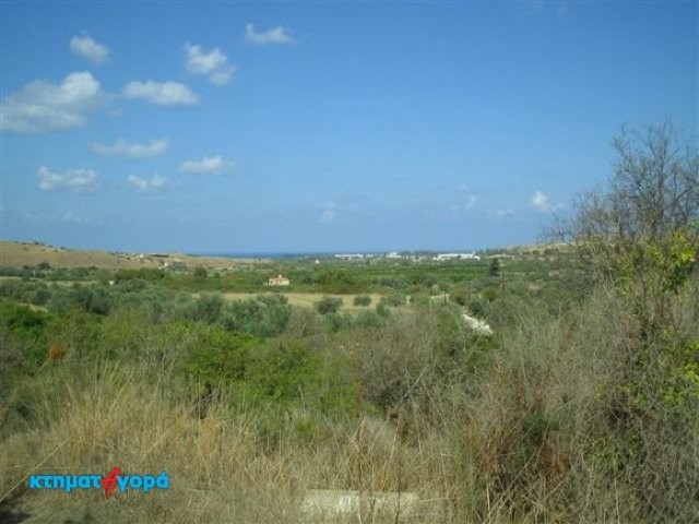 Agricultural Land in Goudi, Pafos - 2