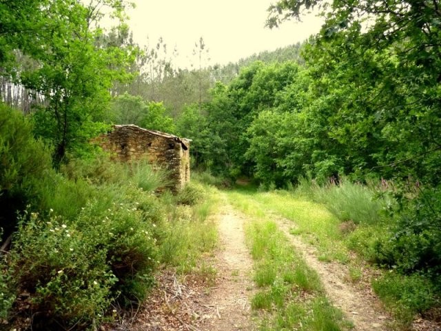 Stunning stream side 1 hectare plot.. - 2