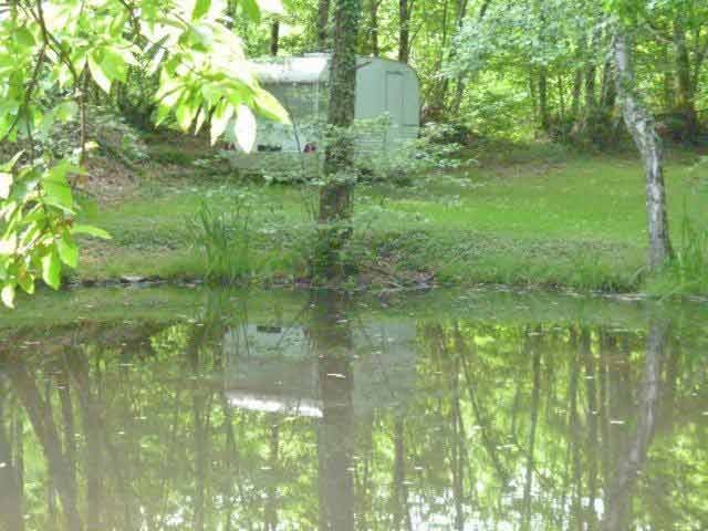 Beautifully Maintained And Woody.. - 2