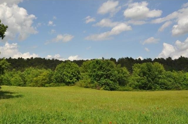 5 bedroom Land For Sale: Provence..