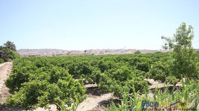 2 Bedrooms - Townhouse - Alicante - For.. - 2