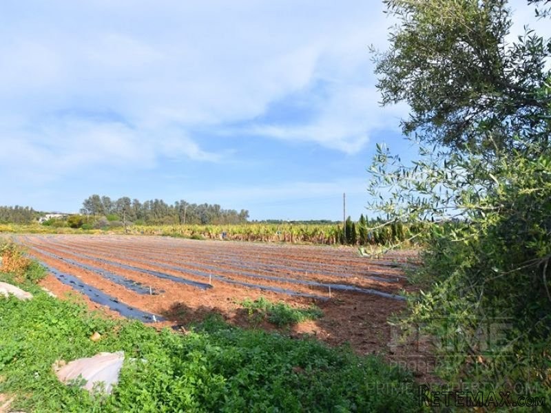Land in Paphos, Cyprus, for Sale -..