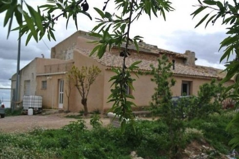 Country House Pinoso