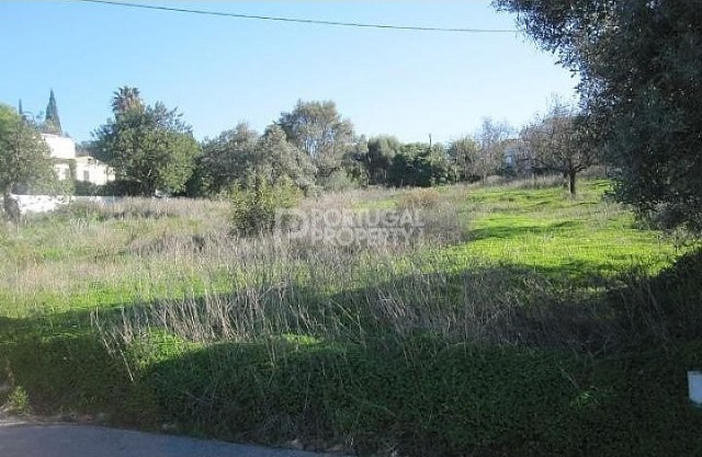 Large plot of land with sea view - 2