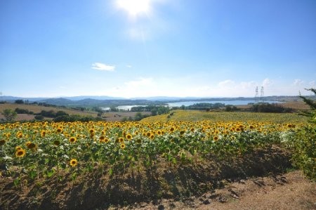 Casale Vista Lago - 2
