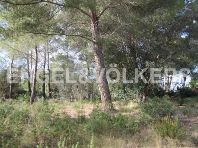 Plot of land close to a small beach - 2