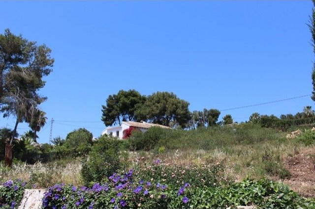 Plot in Javea