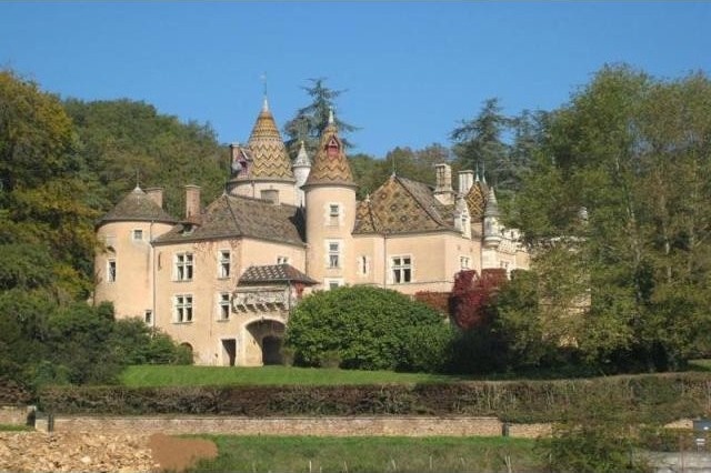 6 bedroom Castle For Sale: 71240 LA..