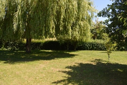 Pavillon de plain-pied 3 chambres avec.. - 2