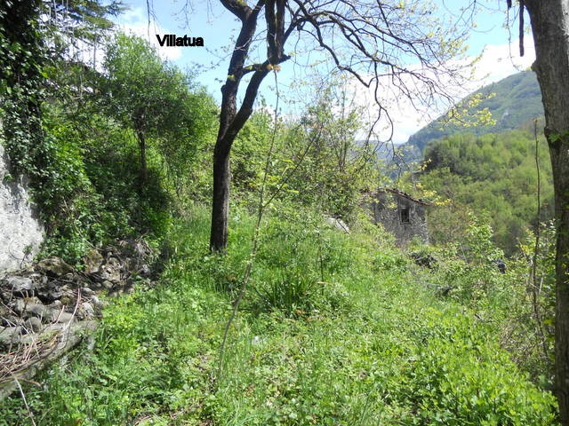 Village/town House - For Sale - Bagni.. - 2