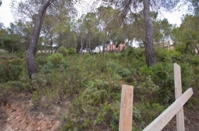 Plot With Sea Views In Camp De Mar - 2