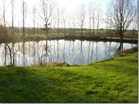 Fishing pond surrounded by mature trees. - 2