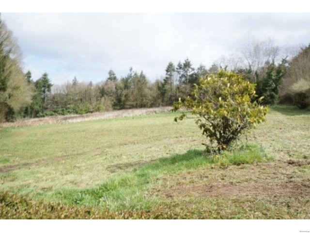 3 Bed Detached with Stables - 2