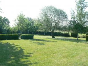 Well Presented Rural Village Cottage - 2