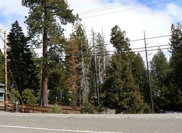 Land For Sale: Tahoe City, California