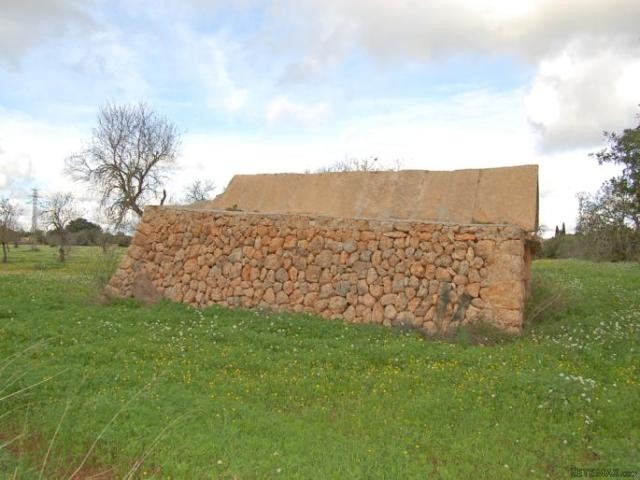 Plot in Llucmajor - 2