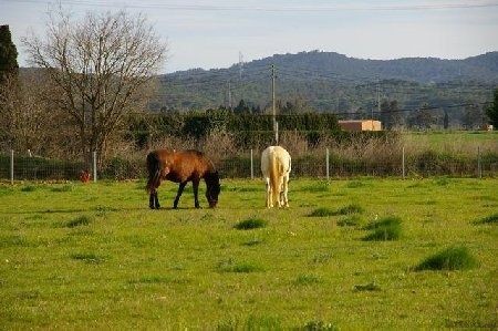 3 Bedrooms - Country House - Girona -..