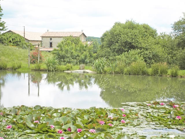 Splendid Stone Country Property With.. - 2