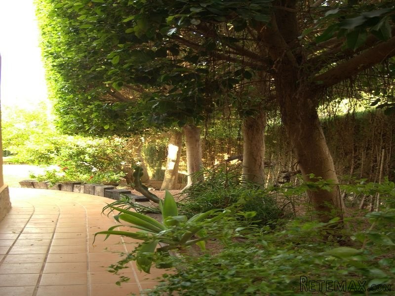 3 Bedrooms - Villa - Alicante - For Sale - 2