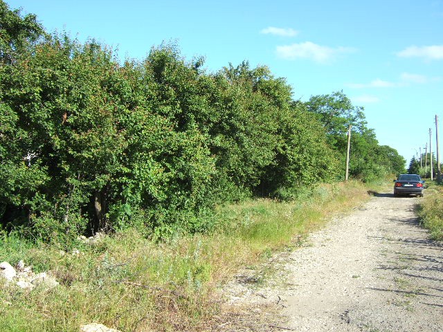 Land in Tsarichino, Balchik - 2