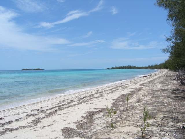 Singlefamilyvacant - Prime Beachfront..