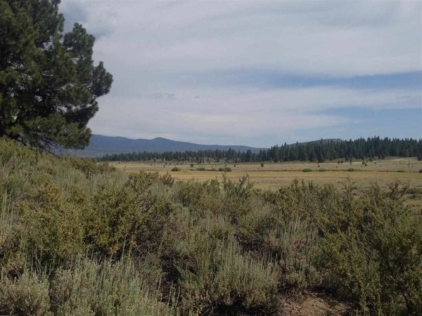 Land For Sale: Truckee, California