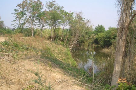 Land For Sale Cha Am Phetchaburi..
