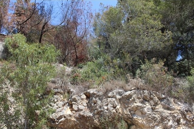 Plot in Javea
