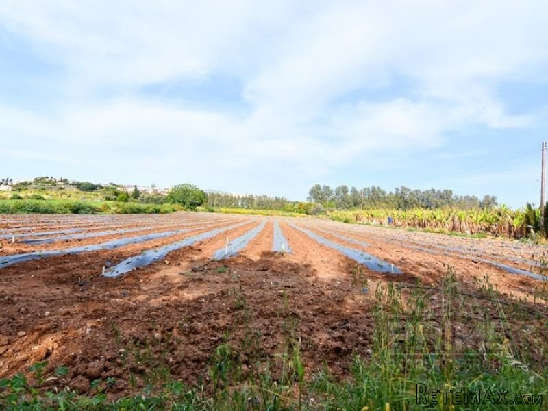 Land in Paphos, Cyprus, for Sale -.. - 2