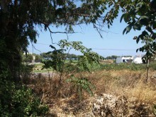 Crete Property