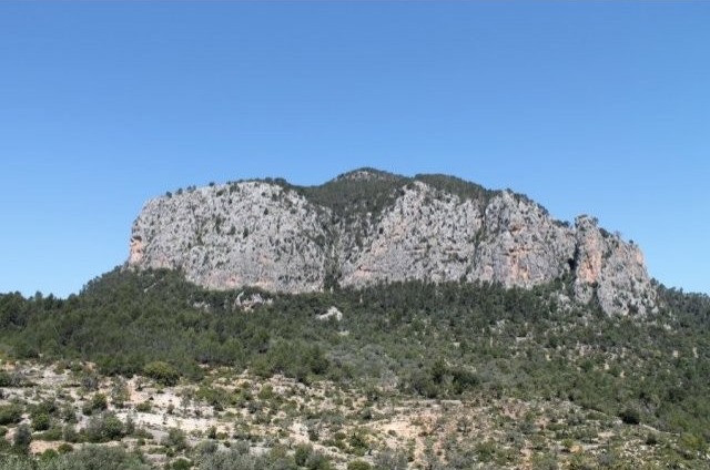 Hill plot with building permission