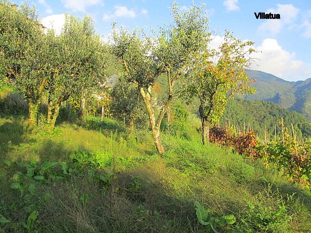 Village/town House - For Sale - Hills.. - 2