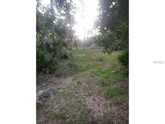 Land For Sale: 10316 Forest Run Dr..