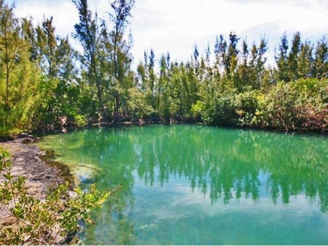 Singlefamilyvacant - Great Investment.. - 2