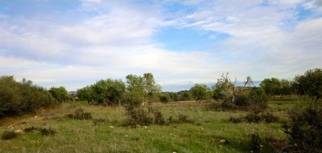 Perfect Plot for the Villa of Your..
