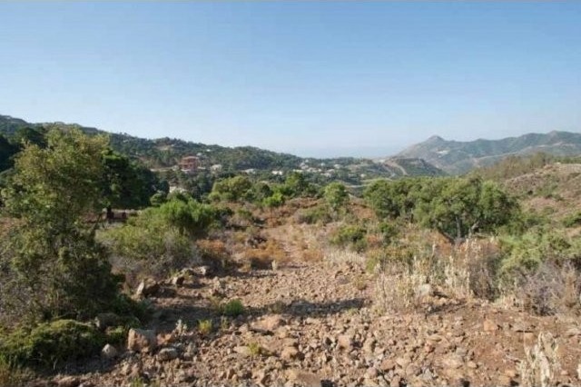 Superb Plot Overlooking the New Course - 2