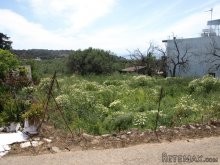 Land In Afrata - 2