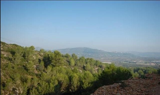 Plot For Sale Pedreguer - Ref: 1680 - 2
