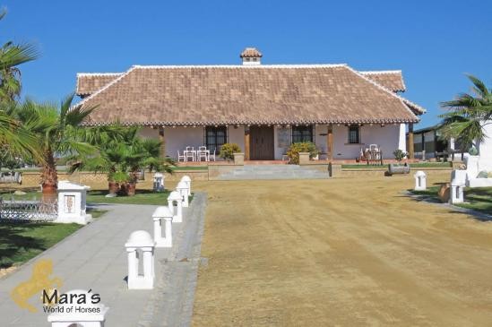 se vende Finca centro ecuestre, hipica.. - 2