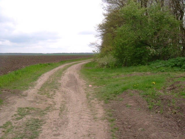 Land in Svescharevo, Dobrich