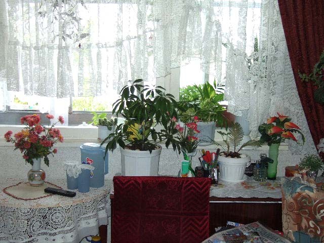 Apartment in Albena