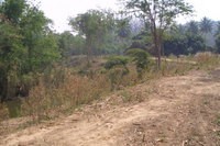 Land For Sale Cha Am Phetchaburi.. - 2