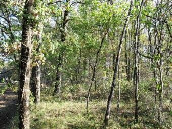 LOT ET GARONNE land constructable of.. - 2