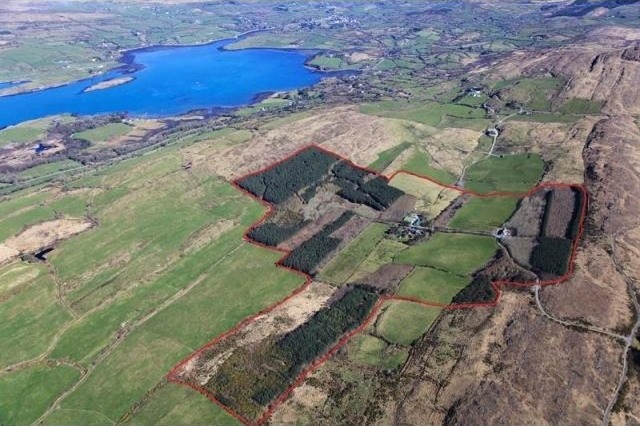 5 bedroom Farm For Sale: Fairy Valley..