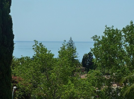 Duplex Penthouse for sale in The Golden..