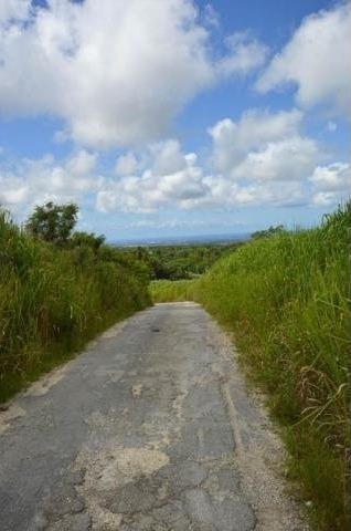 Property For Sale: Bushy Park Land, St...