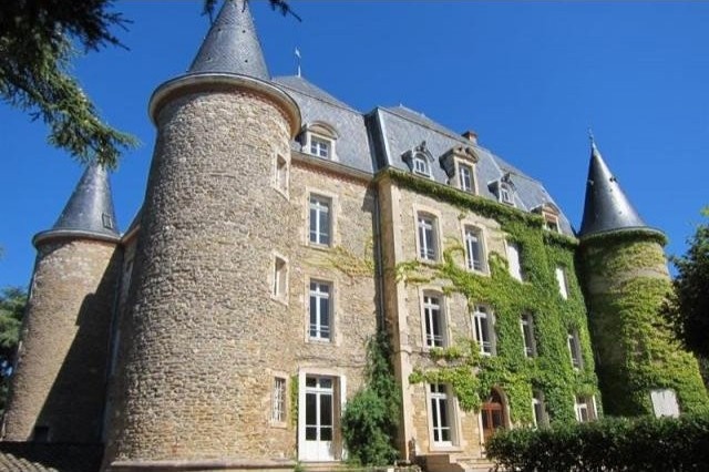 20 bedroom Castle For Sale: 71 SAONE ET.. - 2