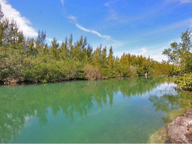 Singlefamilyvacant - Great Investment..