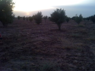 Titled plot of land - 5.43Ha - Fes Rd.. - 2