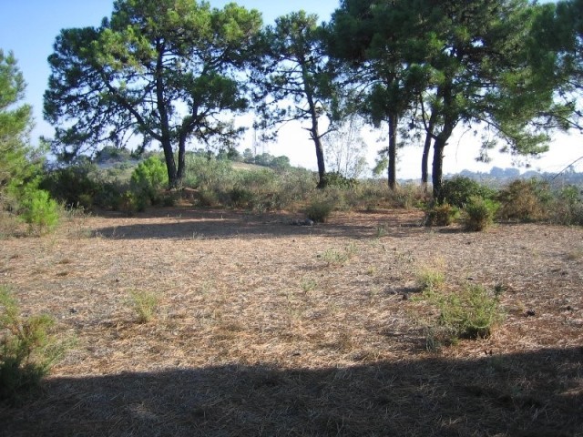 Land - Plot - Area 6000 sqm, Estepona.. - 2